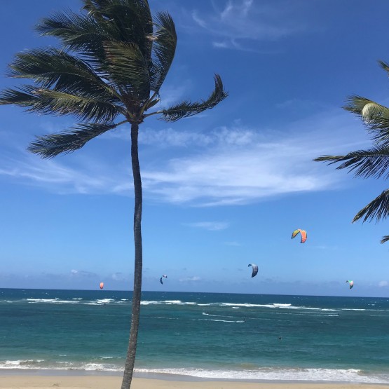 Caribbean life awaits you... Gallery Image